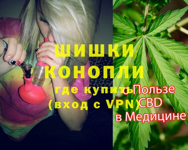 ГАЛЛЮЦИНОГЕННЫЕ ГРИБЫ Бронницы