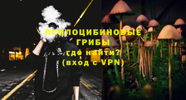 мет Бородино
