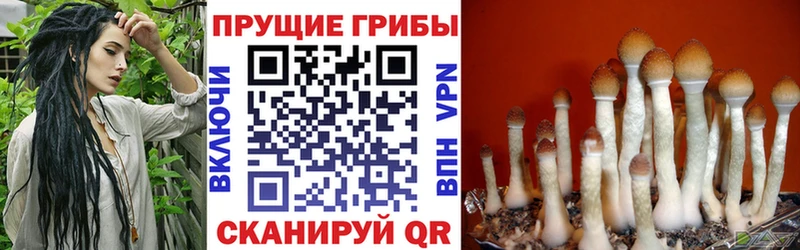 Псилоцибиновые грибы Magic Shrooms  Новомичуринск 